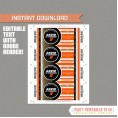 Ice Hockey Ticket Invitations (Anaheim Ducks)
